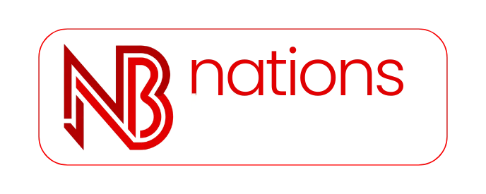 youtube seo company in india on nations bizz